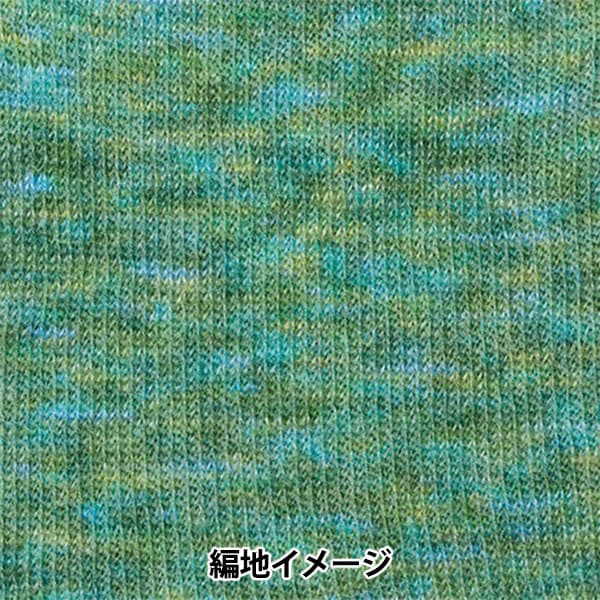 秋冬纱线 “ Hamanaka Mohair彩色307颜色” Hamanaka