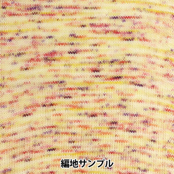 秋冬纱线 “五颜六色的尾巴dai H08彩色ayfs22117”