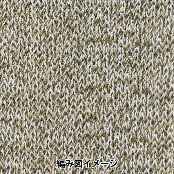 春夏纱线 “ Dora Marl 1st颜色” Richmore Rich More
