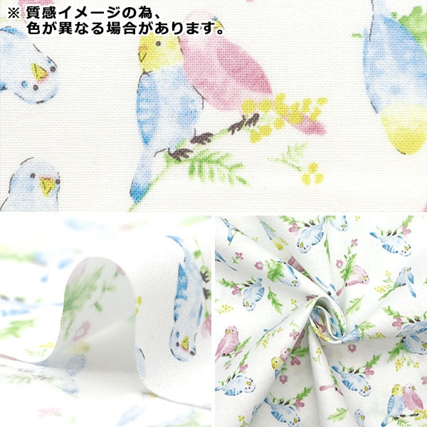 【数量5から】 生地 『シーチング カラフルキャンバス 水彩インコ柄 ピンク COCAN-BIR-PK』 KOKKA コッカ