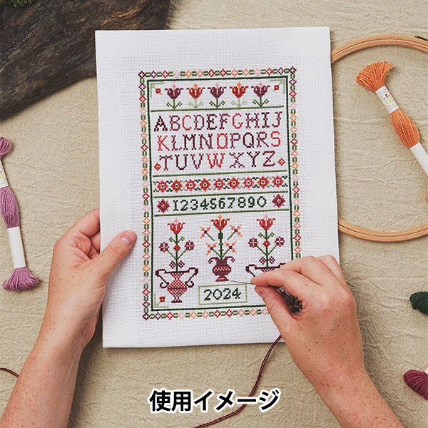 Embroidery thread "ECO VITA Wools Red 001 Color" DMC DM Sea