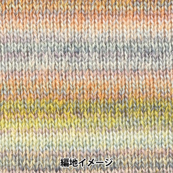 秋冬纱线 “狄娜(Dina)1号” Hamanaka