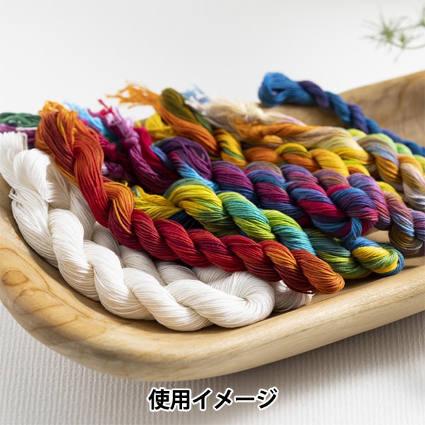 染料“染料瓶200 MAT BLACK MD215” Olympus