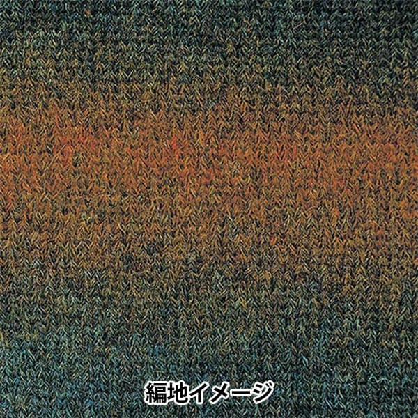 秋冬紗線 『羊駝毛聯盟登錄113顏色“ Richmore Rich More
