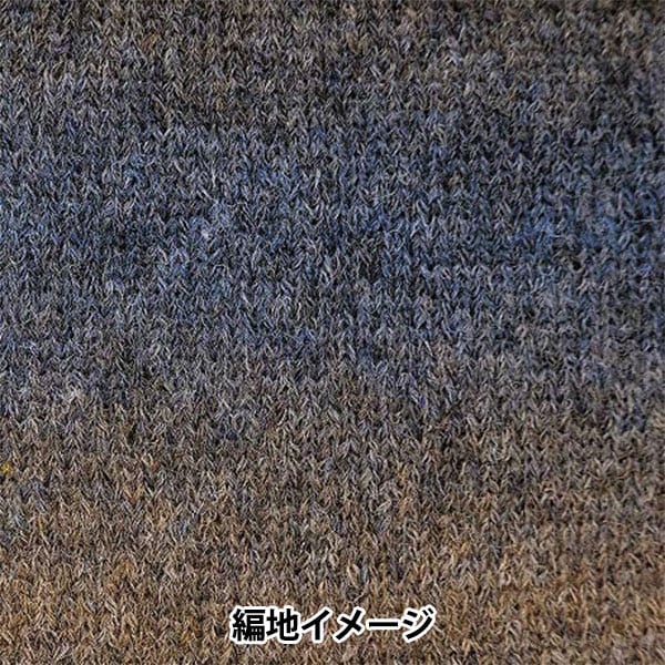 秋冬紗線 『羊駝毛聯盟登錄115顏色“ Richmore Rich More
