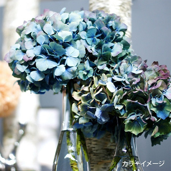 刺绣线程“带有线轴布置GP-25E的花园派对刺绣线程” Olympus