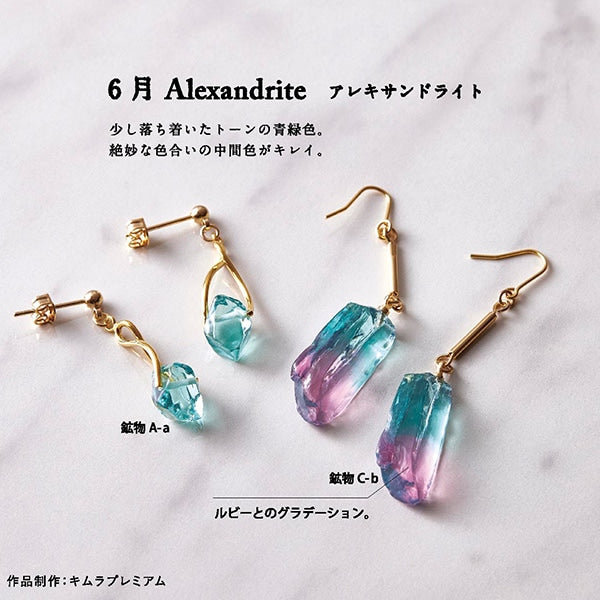 レジン専用着色剤 『宝石の雫 バースストーンカラーセット 1月~6月 403376』 PADICO パジコ