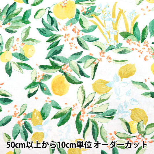 [Quantity starting from 5] Fabric "Naniiro Linen (Thin) MARGO EGX-11361-1A" KOKKA