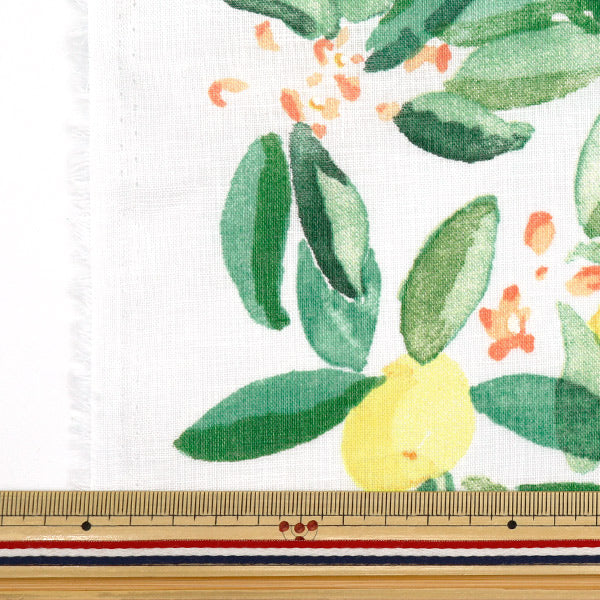 [Quantity starting from 5] Fabric "Naniiro Linen (Thin) MARGO EGX-11361-1A" KOKKA