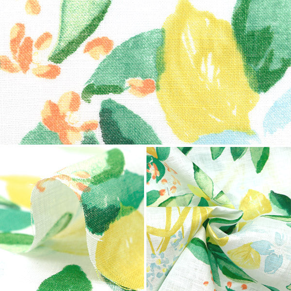 [Quantity starting from 5] Fabric "Naniiro Linen (Thin) MARGO EGX-11361-1A" KOKKA