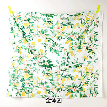 [Quantity starting from 5] Fabric "Naniiro Linen (Thin) MARGO EGX-11361-1A" KOKKA