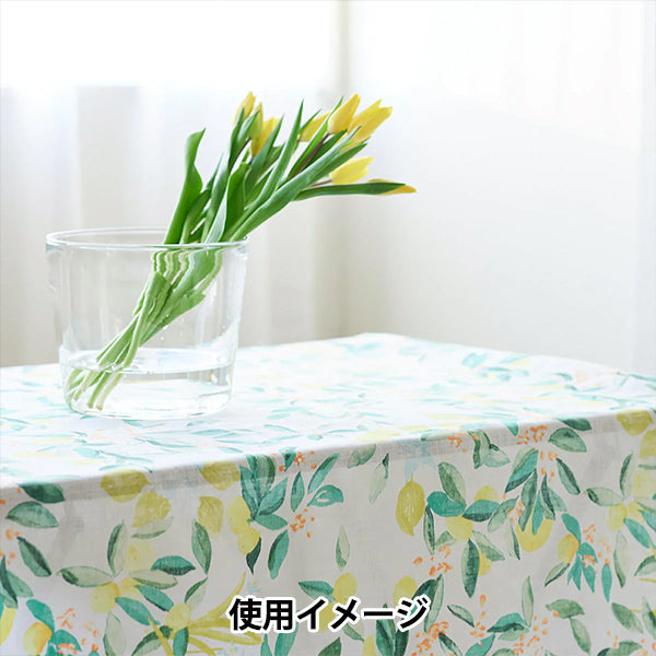 [Quantity starting from 5] Fabric "Naniiro Linen (Thin) MARGO EGX-11361-1A" KOKKA