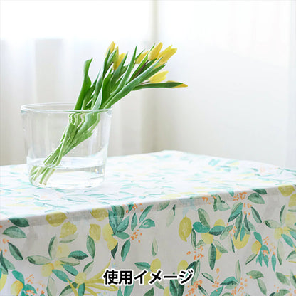 [Quantity starting from 5] Fabric "Naniiro Linen (Thin) MARGO EGX-11361-1A" KOKKA