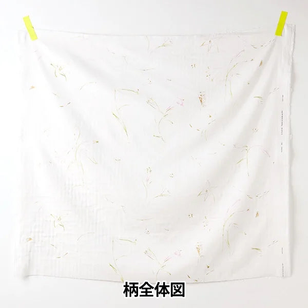[Quantity starting from 5] Fabric "Naniiro Organic"double gauze GUNSEI EGX-11380-1A" KOKKA