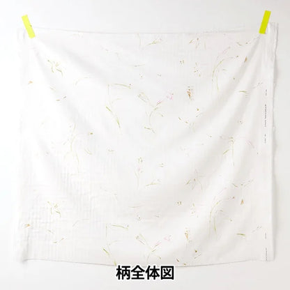 [Quantity starting from 5] Fabric "Naniiro Organic"double gauze GUNSEI EGX-11380-1A" KOKKA