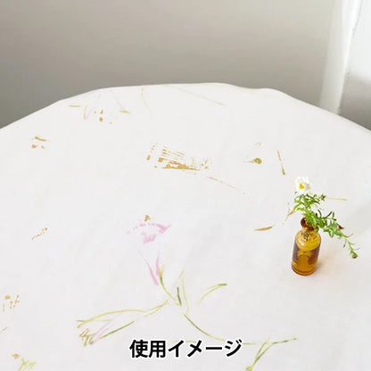 [Quantity starting from 5] Fabric "Naniiro Organic"double gauze GUNSEI EGX-11380-1A" KOKKA