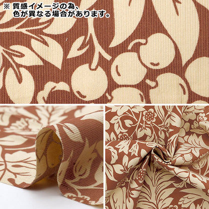 [From quantity 5] Fabric 『Corduroy Modern Arts Ivory x Khaki KTS7072-B" COTTON KOBAYASHI