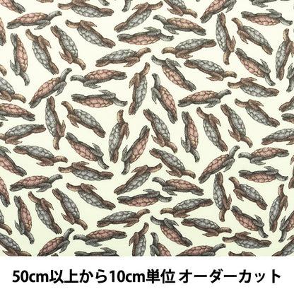 [From quantity 5] Fabric "Liberty Liberty Print Tana lawn Archelon Ray 3630159-A" Liberty Japan