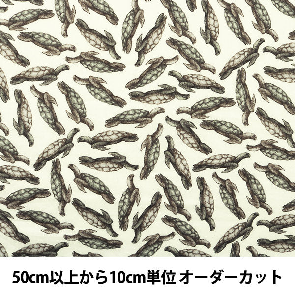 [From quantity 5] Fabric "Liberty Liberty Print Tana lawn Archelon Ray 3630159-B" Liberty Japan