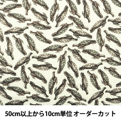 [From quantity 5] Fabric "Liberty Liberty Print Tana lawn Archelon Ray 3630159-B" Liberty Japan