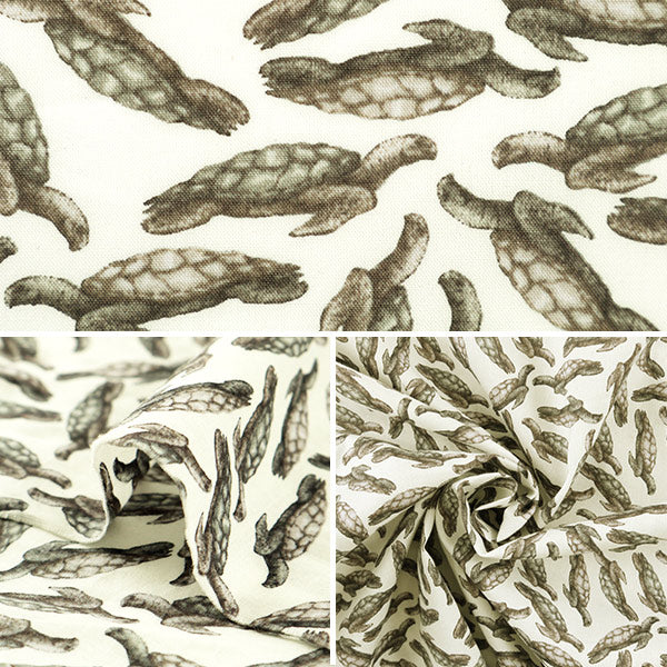 [From quantity 5] Fabric "Liberty Liberty Print Tana lawn Archelon Ray 3630159-B" Liberty Japan