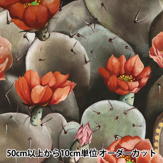[From quantity 5] Fabric "Liberty Liberty Print Tana lawn Dessert Rose 3631129-A" Liberty Japan