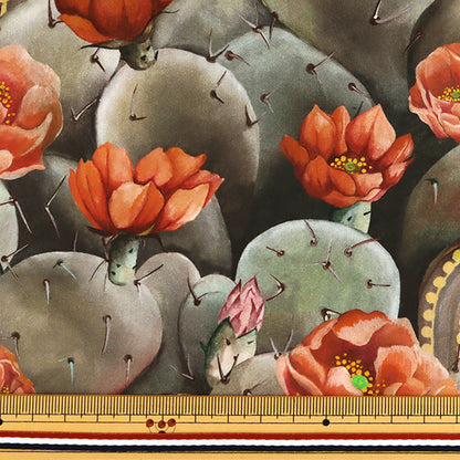[From quantity 5] Fabric "Liberty Liberty Print Tana lawn Dessert Rose 3631129-A" Liberty Japan