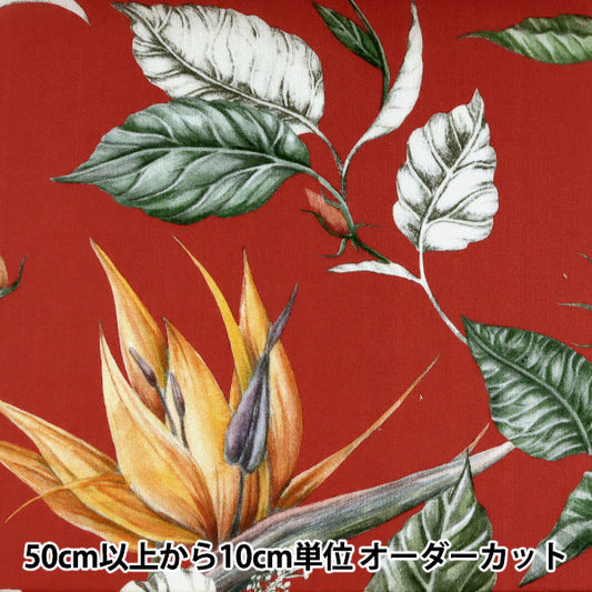 [From quantity 5] Fabric "Liberty Liberty Print Tana lawn Paradise Bay 3631137-A" Liberty Japan