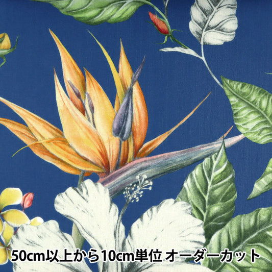 [From quantity 5] Fabric "Liberty Liberty Print Tana lawn Paradise Bay 3631137-B" Liberty Japan
