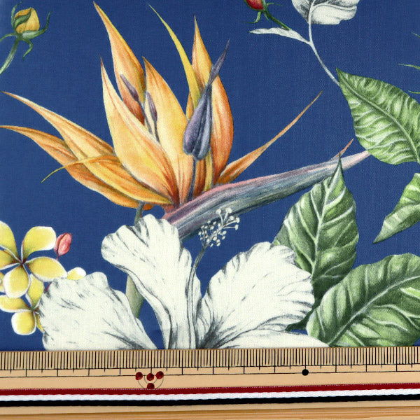 [From quantity 5] Fabric "Liberty Liberty Print Tana lawn Paradise Bay 3631137-B" Liberty Japan