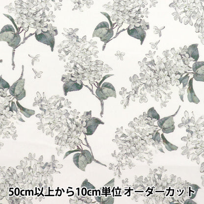 [数量从5开始] 织物 “自由织物” 塔纳草坪 档案丁香3635189-RE" Liberty Japan