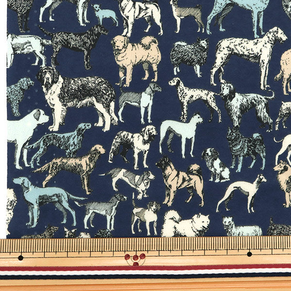 [From quantity 5] Fabric "Liberty Liberty Print Tana lawn Best In Show 1229111-XE" Liberty Japan