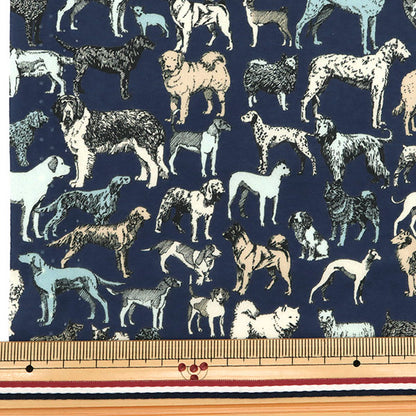 [From quantity 5] Fabric "Liberty Liberty Print Tana lawn Best In Show 1229111-XE" Liberty Japan