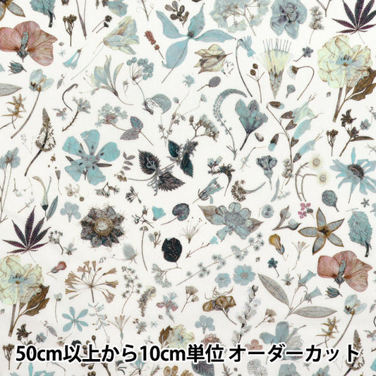 [数量从5开始] 织物 “自由织物” 塔纳草坪 花卉前夕3633189-ue" Liberty Japan