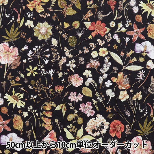 [数量从5开始] 织物 “自由织物” 塔纳草坪 花期3633189-VE" Liberty Japan