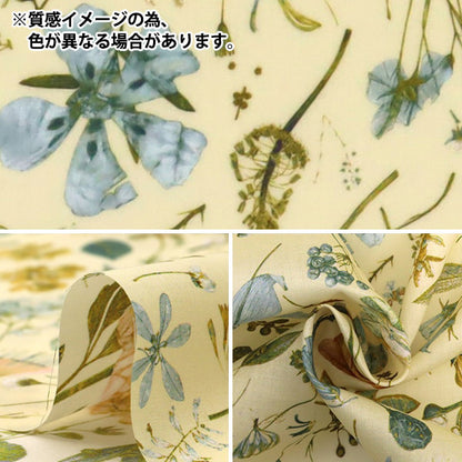 [数量从5开始] 织物 “自由织物” 塔纳草坪 花期3633189-VE" Liberty Japan