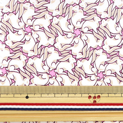 [From quantity 5] Fabric "Liberty Liberty Print Tana lawn Tumbling Tales 3632108-22BT" Liberty Japan