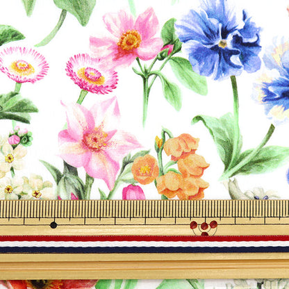 [From quantity 5] Fabric "Liberty Liberty Print Tana lawn Fairy Tail 3632116-22BT" Liberty Japan