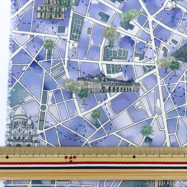 [From quantity 5] Fabric "Liberty Liberty Print No. 11 Canvas Lou de Paris DC30641-J22D" Liberty Japan