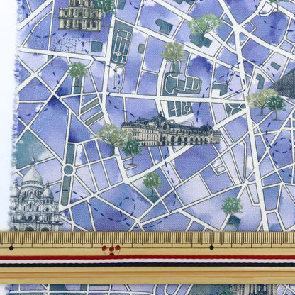 [From quantity 5] Fabric "Liberty Liberty Print No. 11 Canvas Lou de Paris DC30641-J22D" Liberty Japan
