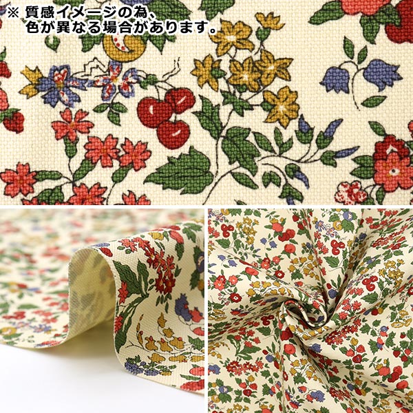 [From quantity 5] Fabric "Liberty Liberty Print No. 11 Canvas Nancy Ann 3286253-C" Liberty Japan
