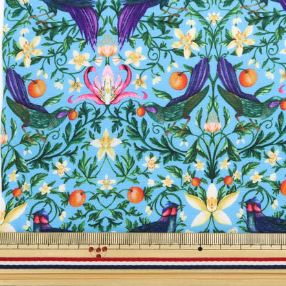[来自数量5] 织物 "Liberty Liberty Print Nylons Run塔夫绸 Fourvidun水果36302100-SD20C" 日本自由