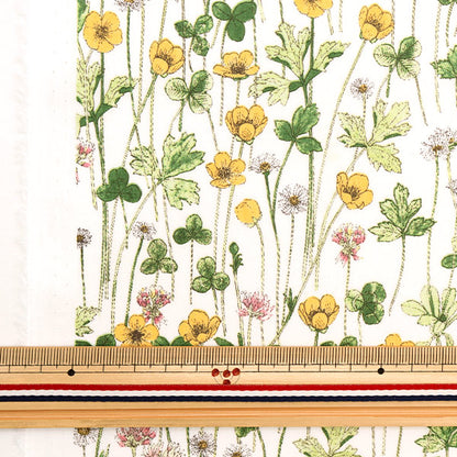 × [From quantity 5] Fabric "Liberty Liberty Print Tana lawn Josephins Garden 3633181-AE" Liberty Japan