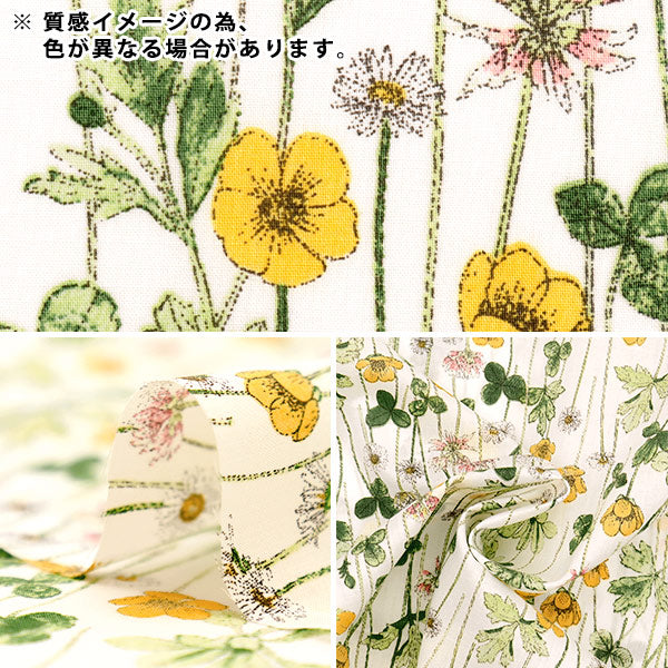 [From quantity 5] Fabric "Liberty Liberty Print Tana lawn Josephins Garden 3633181-DE" Liberty Japan