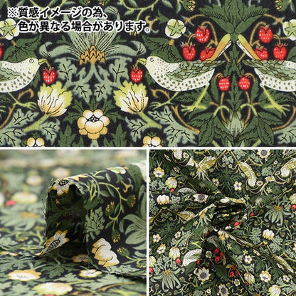 [数量从5开始] 织物 “自由织物” 塔纳草坪 草莓小偷3635061-ZE" Liberty Japan
