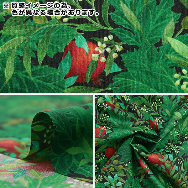 [From quantity 5] Fabric "Liberty Liberty Print Tana lawn Aisos 363J6818-D" Liberty Japan