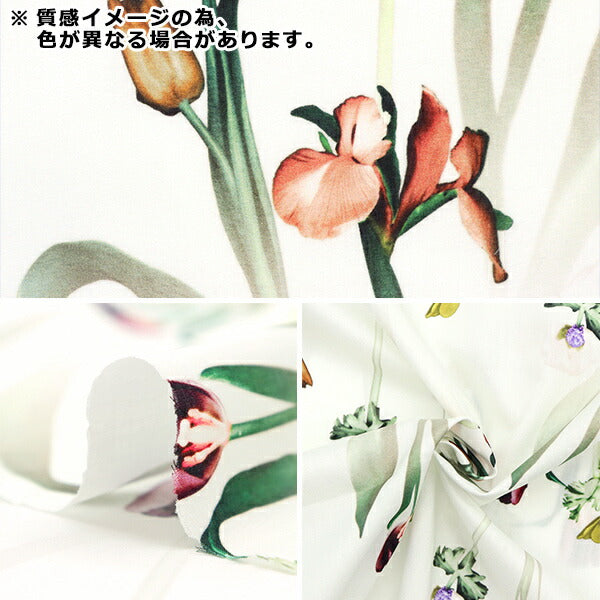 [From quantity 5] Fabric "Liberty Liberty Print Tana lawn Healing floral 3633105-23ct" Liberty Japan