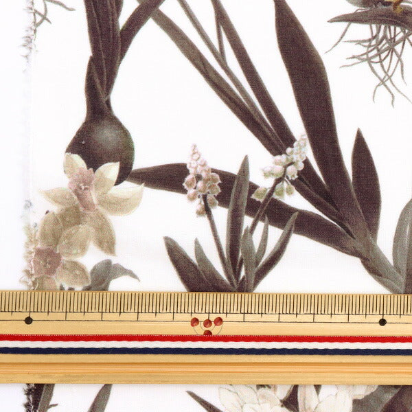 [From quantity 5] Fabric "Liberty Liberty Print Tana lawn Keiko Spring 3633138-23ct" Liberty Japan