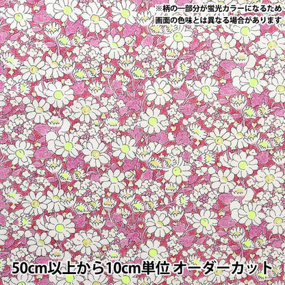 [来自数量5] 织物 "自由霓虹色 塔纳草坪 爱丽丝霓虹灯DC32677-J23B" 日本自由