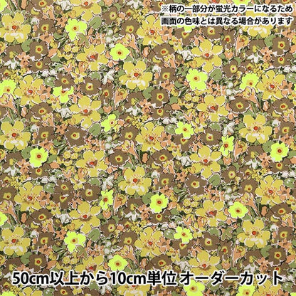 [来自数量5] 织物 "自由霓虹色 塔纳草坪 Archineion DC32680-J23B" 日本自由